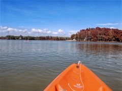 -上海海湾国家森林公园