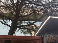 -南京市规划建设展览馆