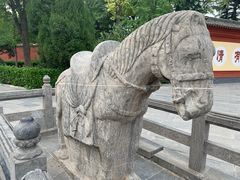 -洛阳白马寺