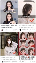 点击看大图 -藤野造型