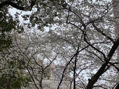 -玛格萝妮比萨屋(四平店)