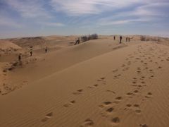 -银肯塔拉沙漠生态旅游景区