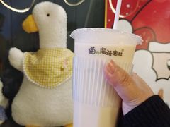 -猫的魔法密林(衣裳街店)