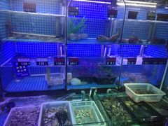 水产区-捞围鲜·港式打边炉(海阳路店)