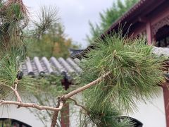 -郑和公园