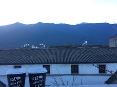 -喵屿·大理花园猫咖