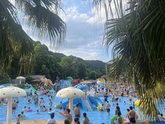 -重庆海昌加勒比海水世界