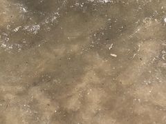 -碧桂园十里银滩