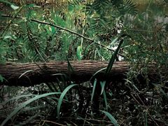 -南山风景名胜区