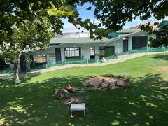 -西霞口神雕山野生动物世界