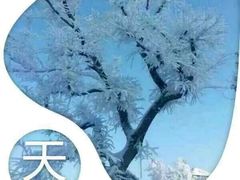 -江南天池高山汤泉城