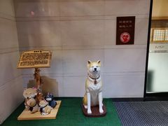 -大江户·温泉洗浴(浑南店)