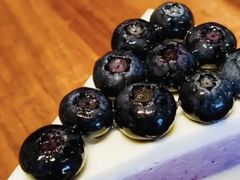 鲜蓝莓轻芝蛋糕-星巴克(温州龙湾万达店)