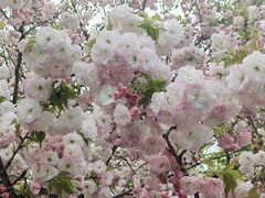 -广富林郊野公园