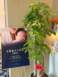 -星摇篮月子中心(紫竹万怡店)