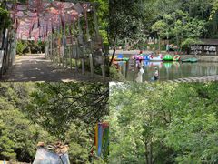 -龙湾潭国家森林公园