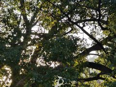 -东钱湖小普陀景区