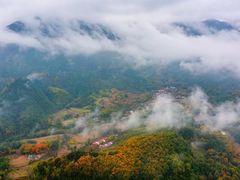 -黎坪国家森林公园
