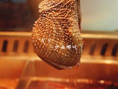 -九鼎轩脆毛肚火锅(三钢里店)