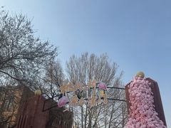 -桃花堤公园