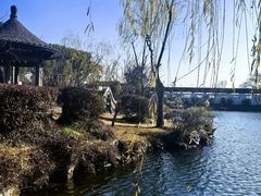 -无锡蠡湖国家湿地公园-蠡园