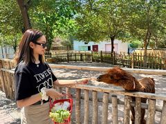 -水上乐园·欢乐世界