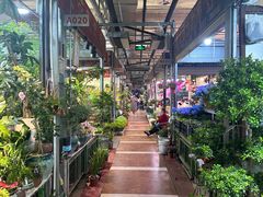 -朝来春花卉市场