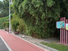 -仙岳公园