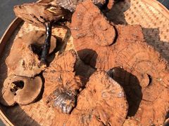 -深圳市人民医院(留医部)