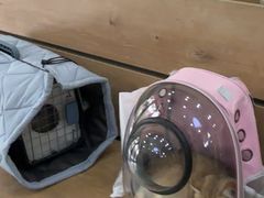 -瑞鹏宠物医院·宠保定点·心脏科·内科(御桥分院)