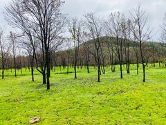 -青州市云门山风景区