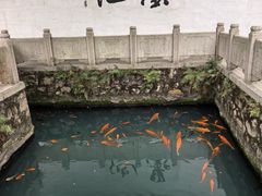 -墨池公园