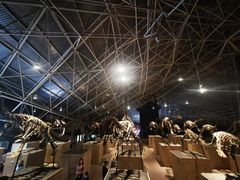 -世界恐龙谷景区