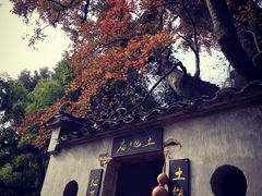 -塔川景区