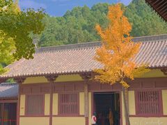 -四门塔风景区
