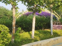 -渔岛海洋度假区