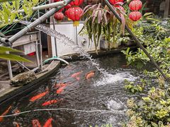 -寻味顺德·南记酒家·传统顺德菜·鱼生(广源路店)
