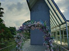 -香蜜公园
