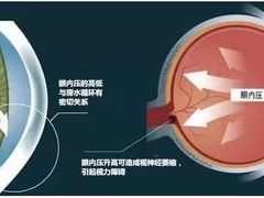 -星视野儿童近视弱视视力训练中心(富荟店)
