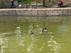 -团结湖公园