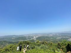 -黄埔油麻山森林公园