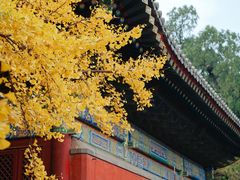 -红螺寺