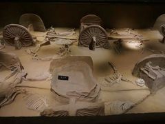 -洛阳周王城天子驾六博物馆