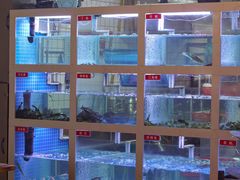 -石锅苗苗鱼(武汉首店)