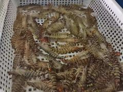 -罗浮宫酒店
