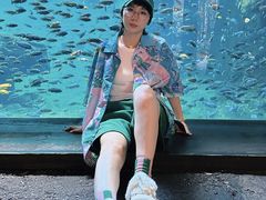 -奥兰多迪士尼动物王国乐园