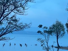 -大理洱海