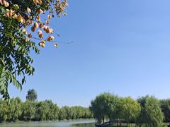 -广富林郊野公园