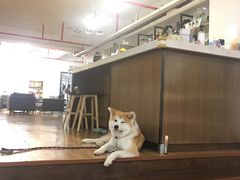 -YCHL Studios健身工作室(市二宫店)