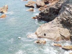 -杨梅坑